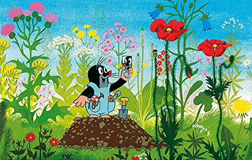 Der kleine Maulwurf - Komplettbox [9 DVDs] 4