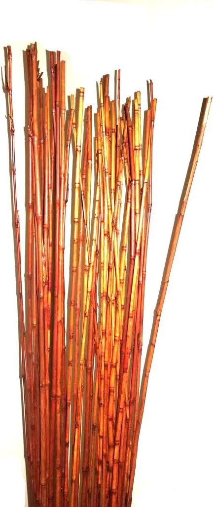 Empire Home Natural Thin Bamboo Stakes Over 5 Feet Tall - Pack of 20 (Natural Brown)