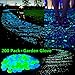 Glow in the Dark Garden Pebbles Stone for Walkway Yard and Decor DIY Decorative Gravel Stones in Blue & Green (200, Blue & Green)