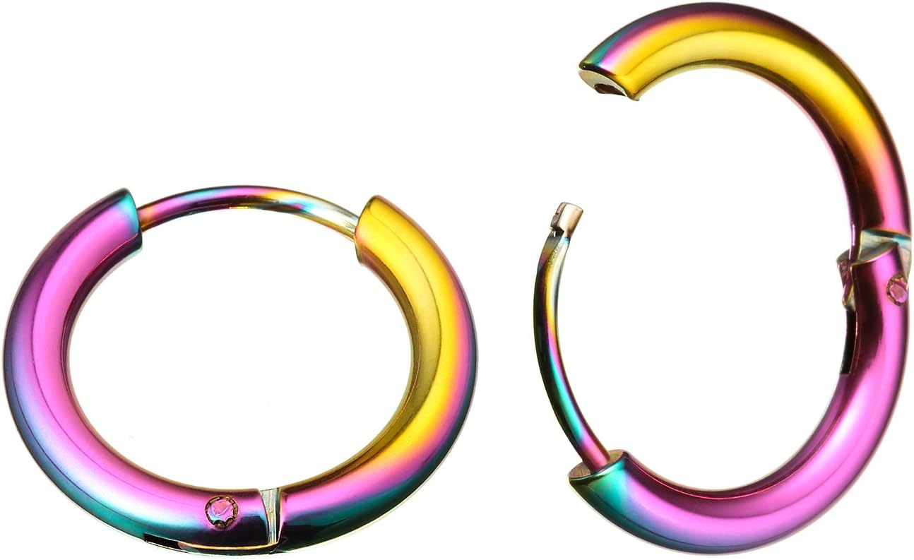 Voloker 1 Pair Stainless Steel 3/8" (10mm) 18G (Thin) Hinged Continuous Segment Ring Hoop Sleeper Earrings Body Piercing