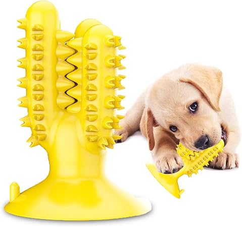 amazon dog teeth cleaning