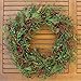 The Wreath Depot Marion Winter Berry Wreath 24 Inch, Enhances Winter Decor, White Gift Box Included