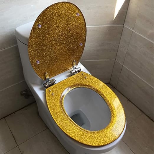 Beautiful Toilet Seat,Standard Resin Toilet Seat Round Front SlowClose