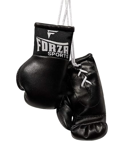 Mini Boxing Gloves Bulk At Jaclyn Glenn Blog