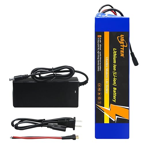 48V 10Ah Ebike Battery With 2A Charger - For 200-1200W Motors, USB Port, LED Indicator