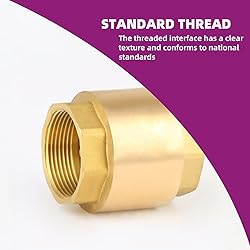 MYWERO 2-1/2" One Check Valve, Female Threaded