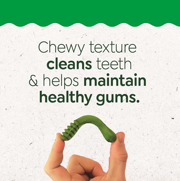 GREENIES DOG TREATS VETERINARIAN-RECOMMENDED NATURAL DENTAL PUPPY TREATS TEENIE SIZE, 12 OZ. PACK, 43 COUNT