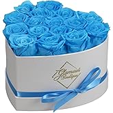 GLAMOUR BOUTIQUE Preserved Roses in a Box - Gifts for Her, Wife & Mom, Rose Flowers Forever Decor for Birthday Gift, Get Well Flower Bouquet Cased in White Box with Cover - Teal - 16 (Color-Treated)
