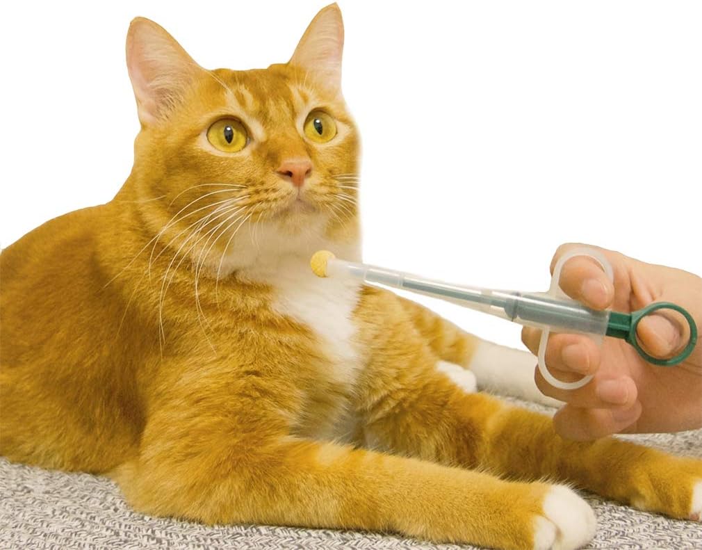 IBLUELOVER Dog Cat Medicine Syringe Pet Medicine Feeding Dispenser