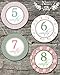 Shabby Chic Baby Monthly Stickers - Shower Gift or Scrapbook Photo Keepsake