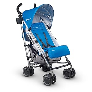 best stroller for disney 2018