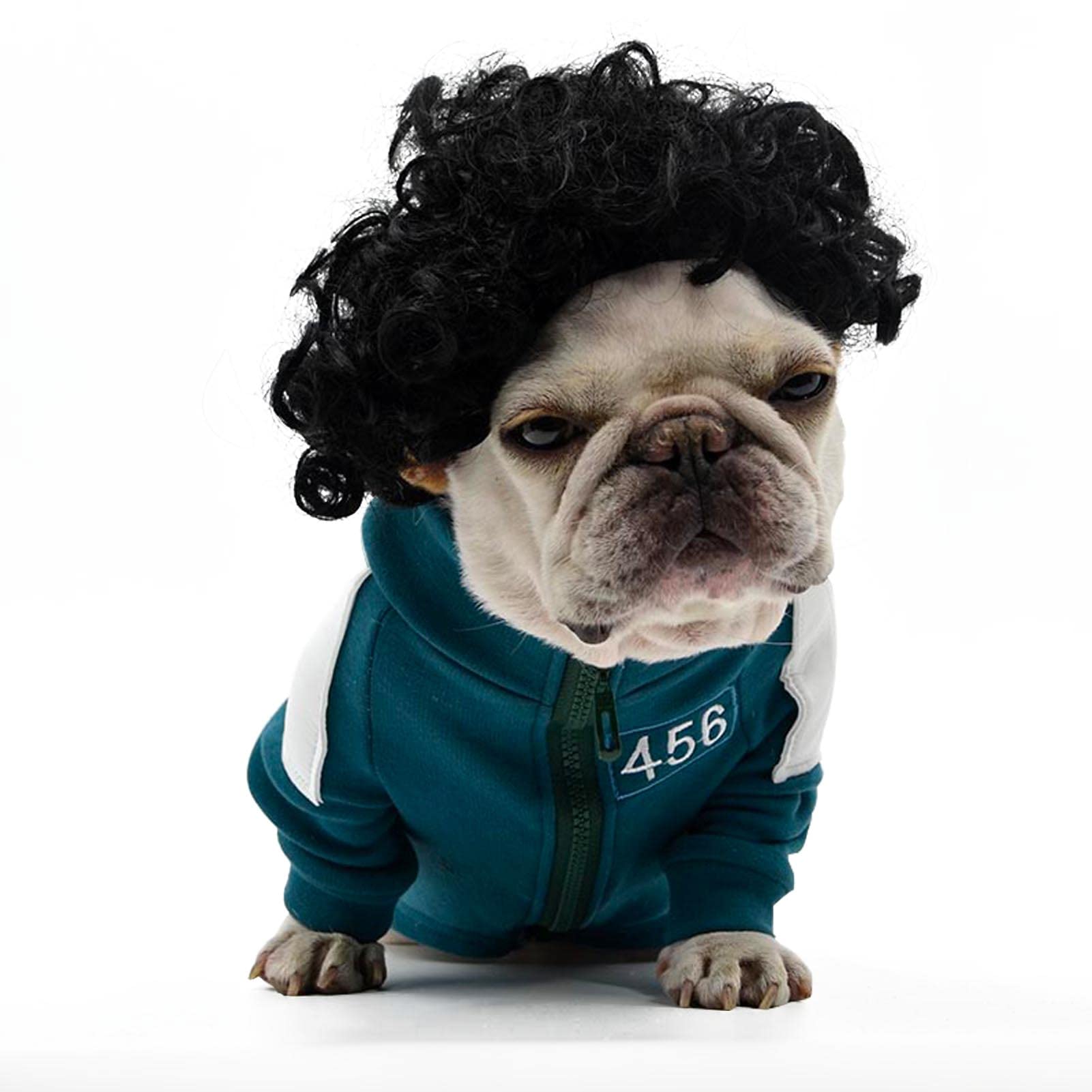 Funny Dog Wig - Cat Role Play Wig for Parties, Festivals & Halloween/Christmas - Black, Small to Large Sizes