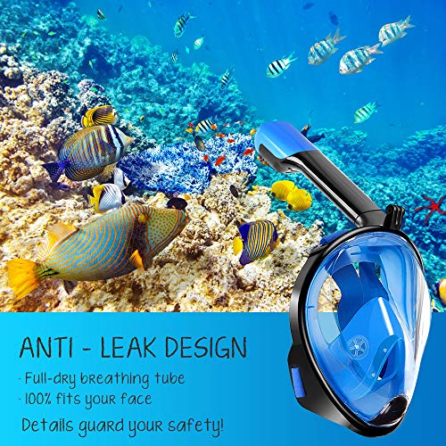 TOMOUNT Full Face Snorkel Mask - Dual-Snorkel for Easier Breathing, Shatterproof PC design, 180 degree viewing window, Anti-Fog & Anti-Leak, Skin Diving Snorkel Mask Full Face for Adult and Youth, L