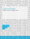 Cultural Probe: 8 July 2008 to 8 July 2010