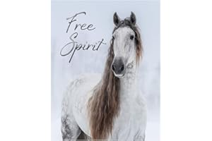 HANDMADE Free Spirit Horse in Snow Fine Art Print - 11x14 Unframed Photo Wall Art - Gift for Horse Lovers. Perfect for the Home, Barn, Game Room, Dorm Teen or Boy/Girl Bedroom Decor. Gift Under $15