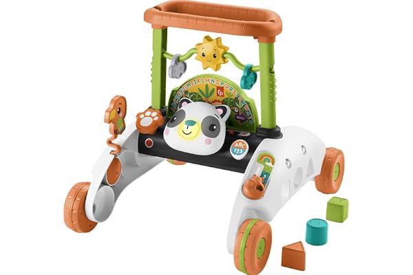 Fisher-Price Baby Push Toy 2-Sided Steady Speed Panda Walker Musical Learning Activity with 3 Blocks for Infants Ages 6+ Mont