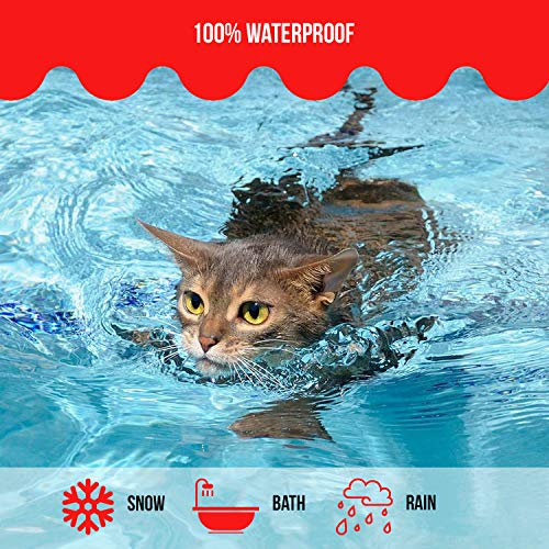 Fleebs Cat Flea for Cats | Cat Collar | Cat Flea Collars | Flea Tick Prevention | Cat Flea Treatment | Flea Protection | Pet Flea Collars | Fleas Ticks for Flea Control Cats