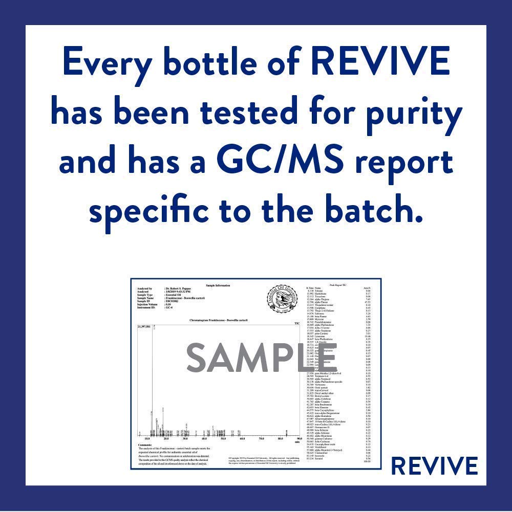 Immunity Boost Essential Oil Blend 30mL by Revive Essential Oils - 100% Pure Therapeutic Grade, for Diffuser, Humidifier, Massage, Aromatherapy, Skin & Hair Care - Image 3