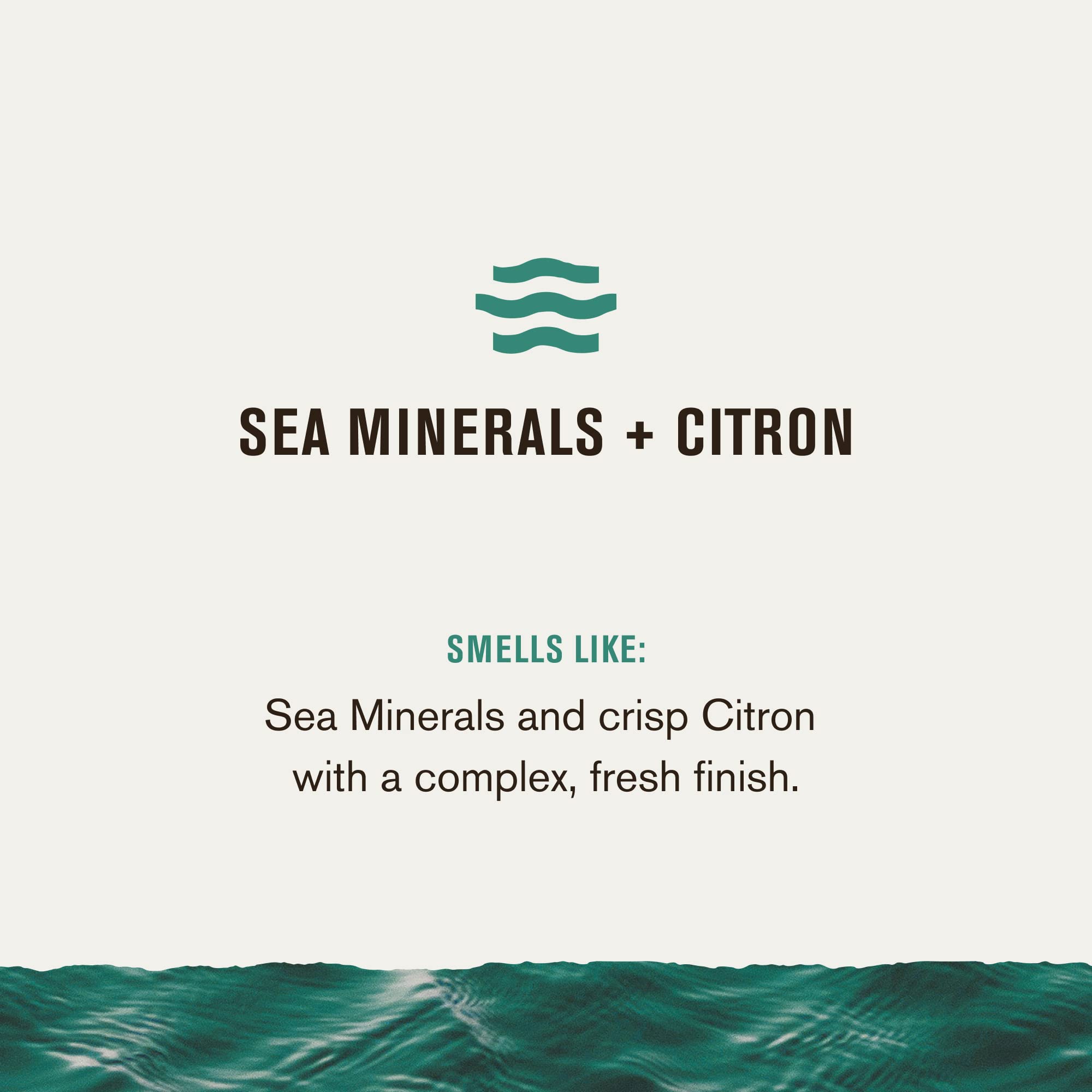 Every Man Jack Men’s Sea Minerals + Citron Bath and Body Gift Set - Clean Ingredients & Sea Minerals and Citron Scent - Round Out His Routine with Body Wash, 2-in-1 Shampoo, Deodorant & Face Wash