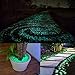 Qable Powerz 200 PCS Glow in The Dark Pebbles, Glow in The Dark Garden Pebbles Decorative Glow Stones Path Lights Outdoor Gravel Stones for Walkways, Garden, Yard, DIY Outdoor Decor (Blue, Green)