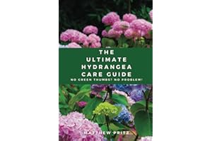 The Ultimate Hydrangea Care Guide: No Green Thumbs? No Problem!