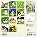 Honey Bunny 2019 7 x 7 Inch Monthly Mini Wall Calendar, Domestic Small Cute Animals (Multilingual Edition)