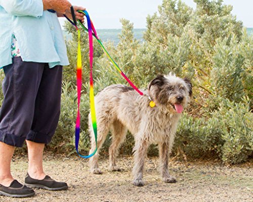 Dual Handle Dog Leash - Rainbow Color Dog Leash (5FT) Dogs Leash - Bright Rainbow Color - Dogs Supplies for Large Dog - 2 Handles 1 Leash Dog Training - 6ft Long Super Tough - Handle Padded Dual Handle Dog Leash - Rainbow Color Dog Leash (5FT) Dogs Leash - Bright Rainbow Color - Dogs Supplies for Large Dog - 2 Handles 1 Leash Dog Training - 6ft Long Super Tough - Handle Padded