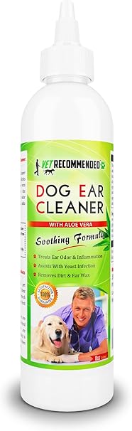 aloe vera gel for dog eye infection
