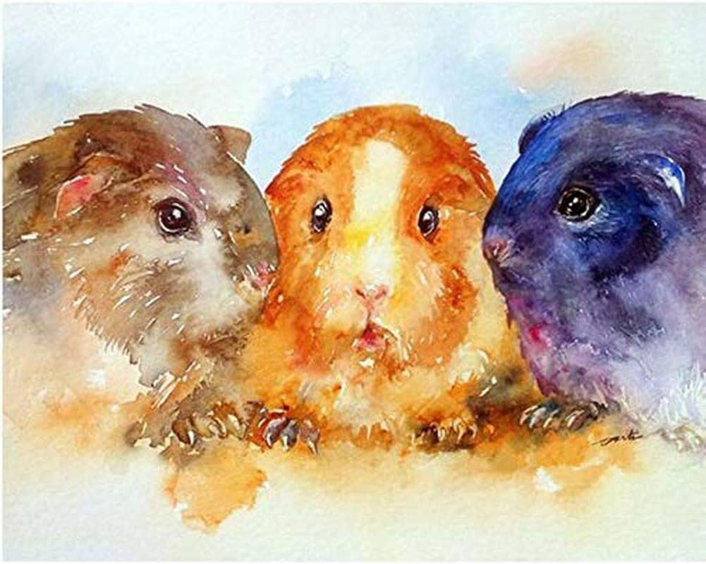 5D DIY Diamond Painting Resin Cross Stitch Kit Crystals Embroidery Home Decor Craft Guinea Pig 11.8×11.8Inch