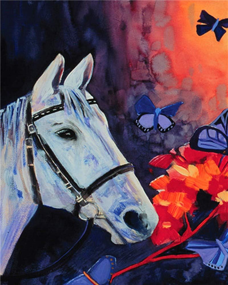 Hagreat Diy Malen Nach Zahlen Kits Fur Erwachsene Leinwand Olgemalde Set Anfanger Mit Pinsel Und Acrylpigment 16 X 20 Zoll Ohne Rahmen