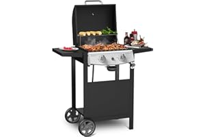 HAVATO Propane Gas Grill 21000 BTU with 2-Burner,325 sq.in. Outdoor BBQ Grill for Barbecue Cooking with Top Cover Lid,Wheels,Side Storage Shelves,Barbeque Stove for Patio Garden Camping,Black