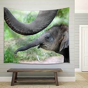 Baby Elephant Side by Side with Its Mother - Fabric Wall Tapestry Home Decor - 51x60 inches