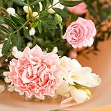 All Occasions Luscious Pinks Bouquet Carnations Freesias Hand Tied Fresh Flowers view 7