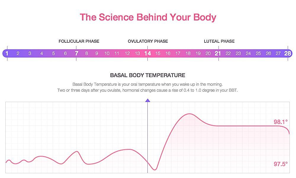 EasyHome Smart Bluetooth Basal Thermometer, Fertility Tracker with iOS