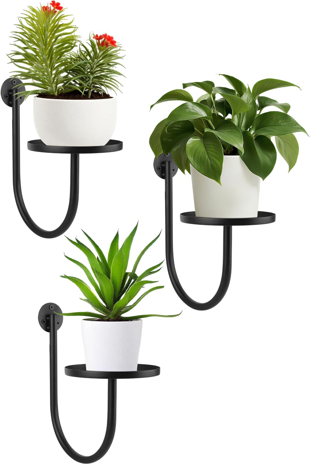 Photo 1 of Wall Planters for Indoor Plants, Mounted Holder Shelf 3 Pack, Metal Hanger, Decorative Plant Shelf for Indoor Wall Decor