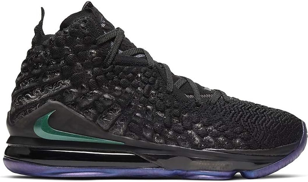 lebron 17 9.5
