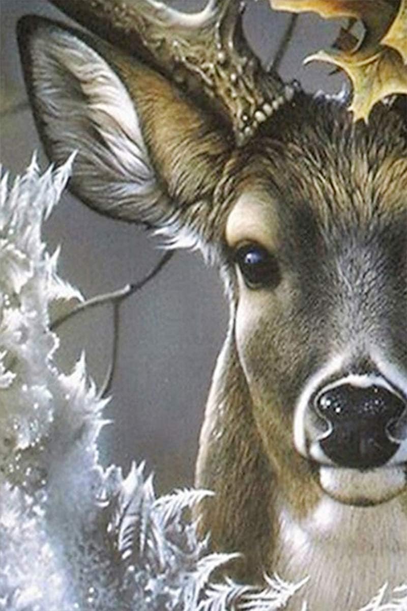 DIY 5D Diamond Painting by Number Kit for Adult, Full Drill Diamond Embroidery Kit Home Wall Decor（12X16inch/30X40cm）Deer…