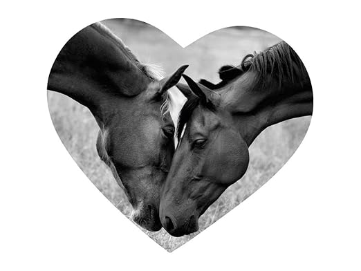 Graz Design Adhesivos infantiles para la pared caballo Corazón ...