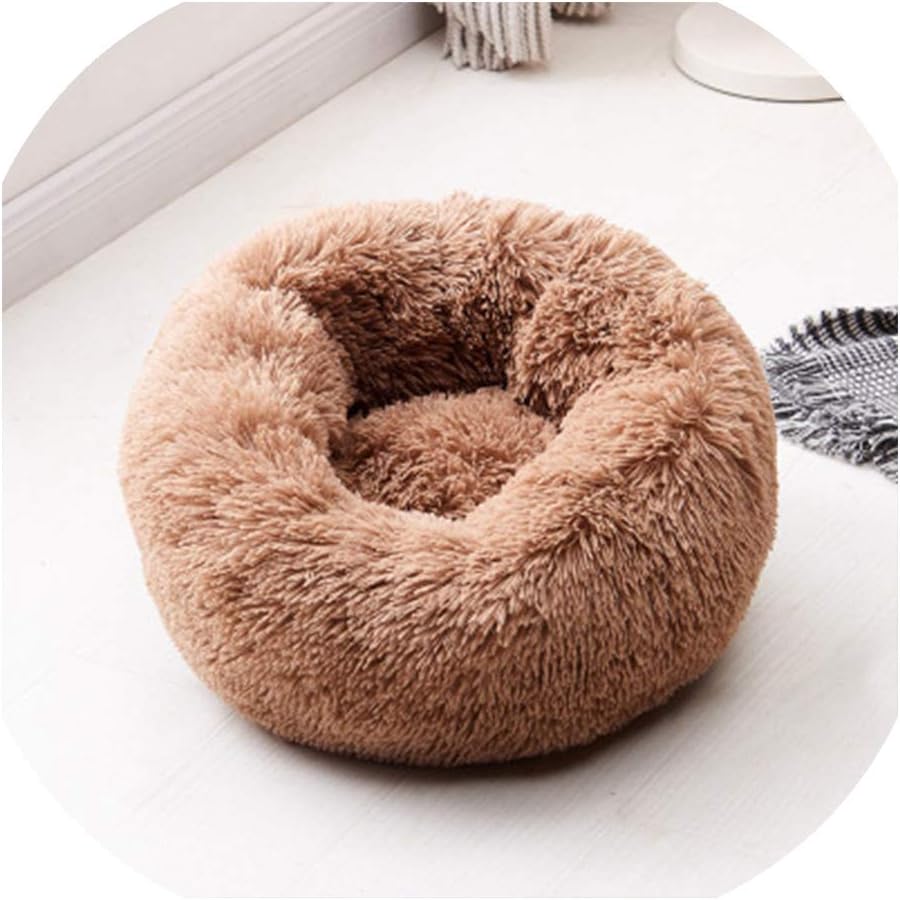 amazon marshmallow cat bed