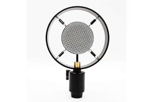 Antique Vintage Classic Cinema Theater Auditorium Speech Live Vocal 25mm Big Diaphragm Condenser Microphone