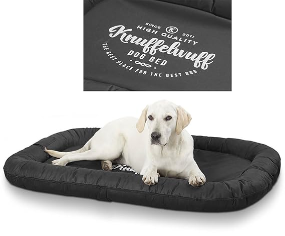Knuffelwuff Bedrucktes Hundebett The Best Dog, Modell: Mika
