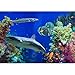 wall26 Self-Adhesive Wallpaper Large Wall Mural Series (100