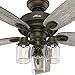 Hunter 53331 Crown Canyon 52 in. Indoor Regal Bronze Ceiling Fan
