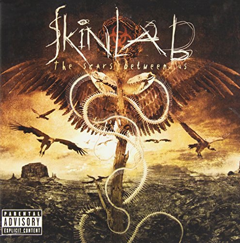Skinlab - The Scars Between Us By Skinlab - Zortam Music