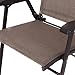 Giantex Set of 2 Patio Dining Chairs, Folding Patio Chairs, 2 Pack Sling Outdoor Chairs, Portable Lawn Chairs for Camping Deck Garden Pool Beach, Metal Frame