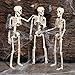 Jetec 3 Pieces Halloween Skeleton Full Body Plastic Skeleton Model Scary Man Bone 19.7 Inch with Creepy Cloth for Halloween Decorations Haunted Houses Graveyard Scene Creepy Decor Party Props