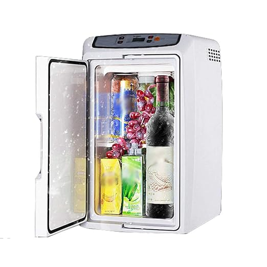 MMBZ Nevera del Coche 18 litros, Mini Nevera eléctrica, portátil ...