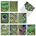 The Best Card Company - Boxed Set of 10 Bird Thank You Notecards with Envelopes 4 x 5.12 inch, Feathered Animal Gratitude - Fancy Feathers M3003