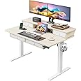 ErGear Electric Standing Desk with 4 Drawers, 48" x 30" Height Adjustable Desk with Storage, C-Clamp Mount Compatible, Computer Home Office Table with Cable Management Tray, Natural