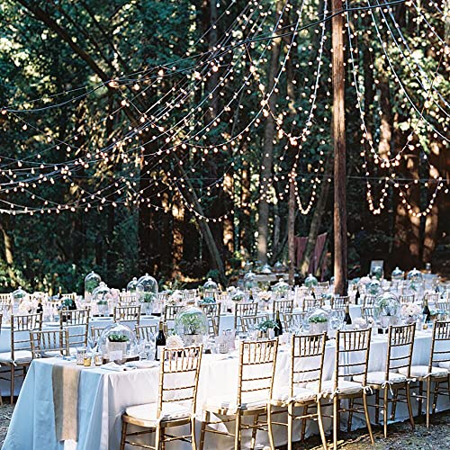 100ft Vinyl Coated Stainless Steel Cable - 304 Stainless, 1/16" Bare, 3/32" Coated, 480lb Strength For Hanging String Lights & Outdoor Use